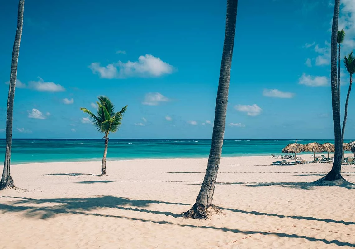 Iberostar Selection Bávaro Suites · la plage et ses palmiers