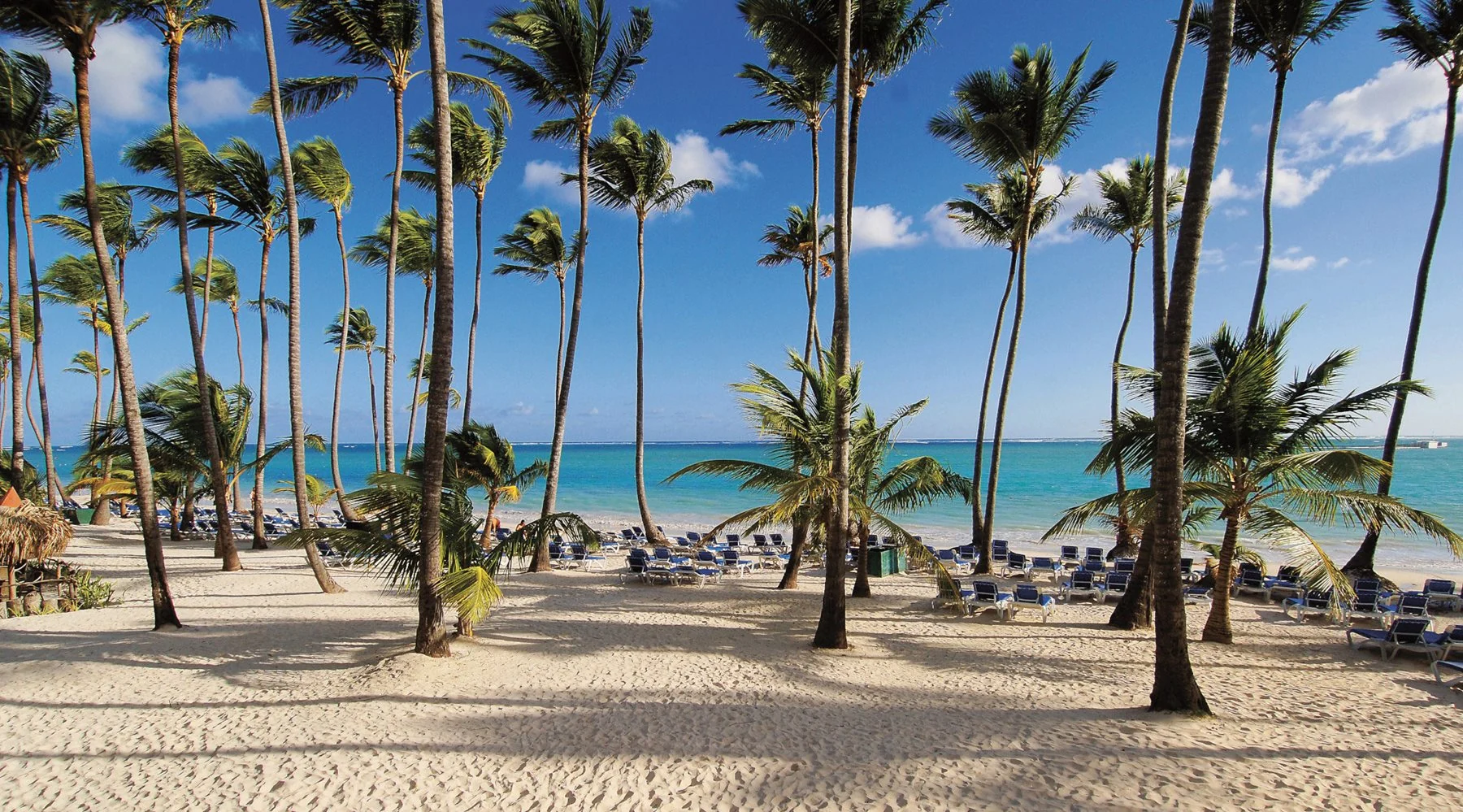 Barceló Bávaro Beach · palmiers et mer des Caraïbes